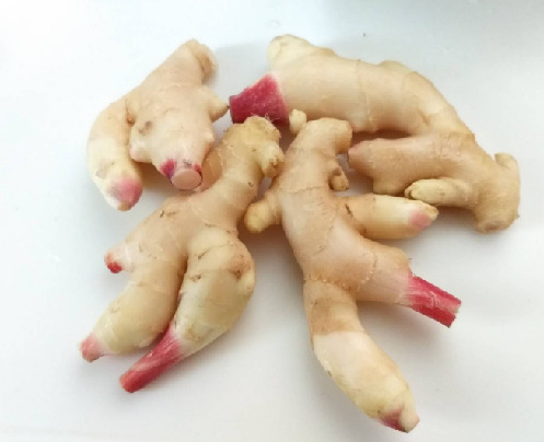 新生姜のジンジャーシロップの作り方 水なしスパイスでジンジャーエールにも 噂のjournal